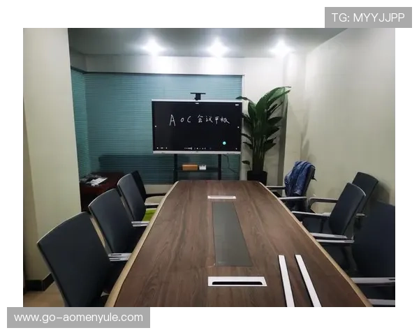 多功能视讯平台评测，从多人会议到一对一交流全方位介绍